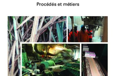 Plus de 200 métiers à valoriser dans la Filière sucre