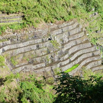 Voyage aux Philippines - Randonnée sur la piste des crètes de Batad à Bangaan