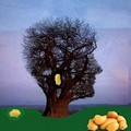 Mes Hallucinations par bongopinot 