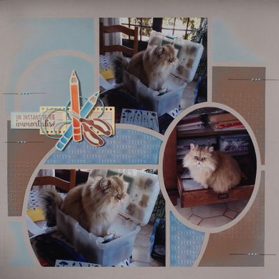 Pollux fait du scrap