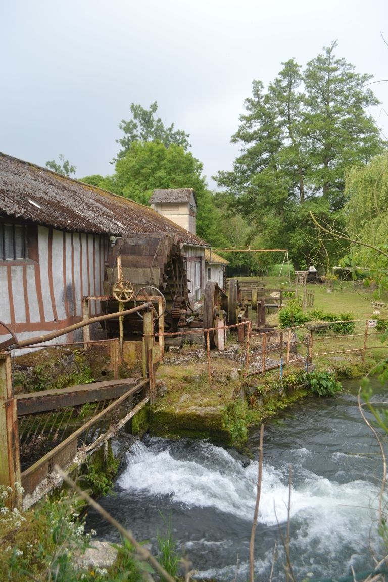 DSC_9029 - Copie