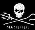 Sea sheperd conservation society