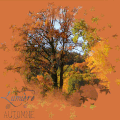 Automne