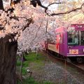 Sakura-4: le "spot" d'Omuro sur le Keifuku