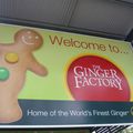 Ginger factory