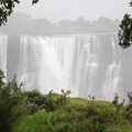 Victoria Falls # day 2