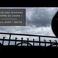 Un été avec Simenon - Il semblerait que...