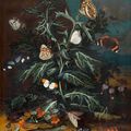 J. R. le Blan (active in France c. 1716-1720), Still-life with thistle, lizard and insects, 1720