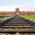Nos lycéens partent à la recherche des enfants choletais déportés à Auschwitz 
