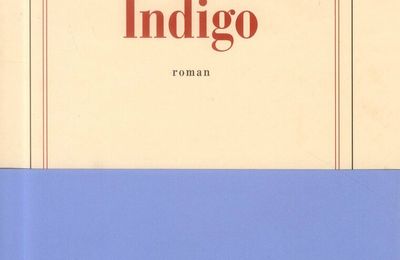 Indigo, Catherine Cusset