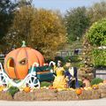 Promenade sous le signe d'Halloween