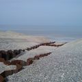 Epis de Cayeux : samedi 12 avril 2014