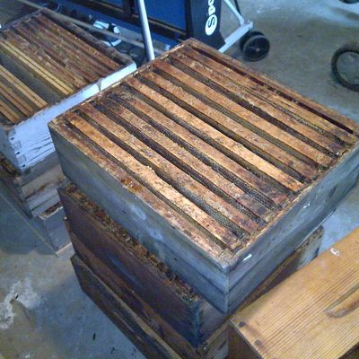 Une récolte pas comme les autres.