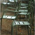 Série "Prenez une chaise" : Jardin du Luxembourg.