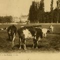 Au XXIème siècle, le GRAND PARIS ne s'occupera que de lui-même: c'est la chance pour un grand pari... normand !