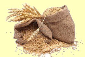 Le 18 février 1790 à Mamers : arrêt de deux voitures de grain.