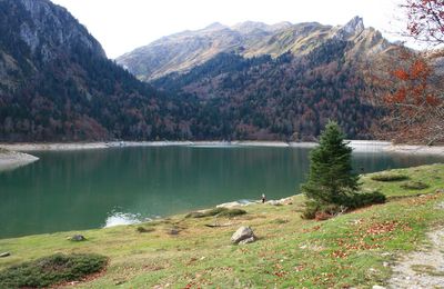 Bious-Artigues couleur automne