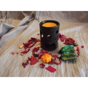 concours chez cécile d'Aromat'easy 11e round!!