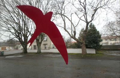 Halte à la transparence ! 