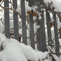 kiwi neige et normandie