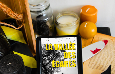 [ AVIS LECTURE ] La vallée des égarés de Céline Servat