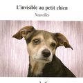 L'invisible au petit chien