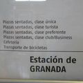 My Spanish Trip: Grenade