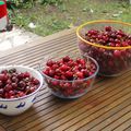 temps des cerises