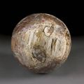 Petrified Wood Sphere. Madagascar