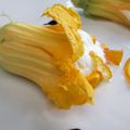 Fleur de courgette farcie à la chantilly & oranges confites