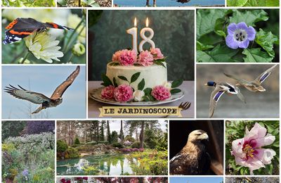 Ce début avril 2024 mon JardinOscope fête ses 18 ans...