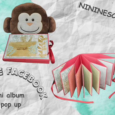 Live Facebook n°4 du 17/04/24 : Mini album 1 pop up