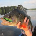 Le plaisir de pêcher chez les jeunes La pêche est