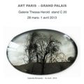 Gabriela Morawetz - expose au salon ART PARIS 2013