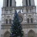 Cathedral Notre Dame Paris