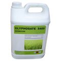 Largement utilisé en Algérie : le pesticide glyphosate cancérigène.