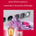 TRAVAUX ELECTRIQUES DIVERS, AMPOULES ECO-ENERGIE