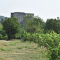 château d'Alba-la-Romaine 01