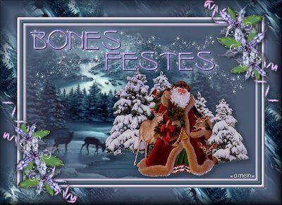 BONES FESTES - JOYEUSES FÊTES