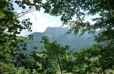 BALADE DANS LE VERCORS...