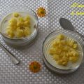 Panna cotta mangue-ananas