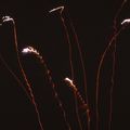 Feu d'artifice à Lannion (Côtes d'Armor) le 20 février 1993 (1)