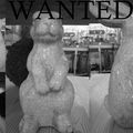WANTED...