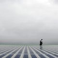  Solaire photovoltaïque en France : les raisons d'un crash en plein vol