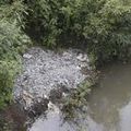 RDC : 17 tonnes de minerais radioactifs déversés dans une rivière du Katanga