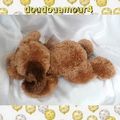 Doudou Peluche Chien Marron Allongé Ruban Aboie Cobico