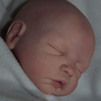 Fleur de Sheila Michael