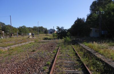 Réseaux régionaux : l’Etat-SNCF s’engage sur quelques lignes structurantes mais refile aux régions la charge des plus fragiles