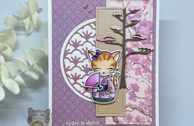 Carte Chat