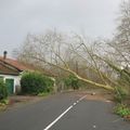 Tempête (pas) de joie